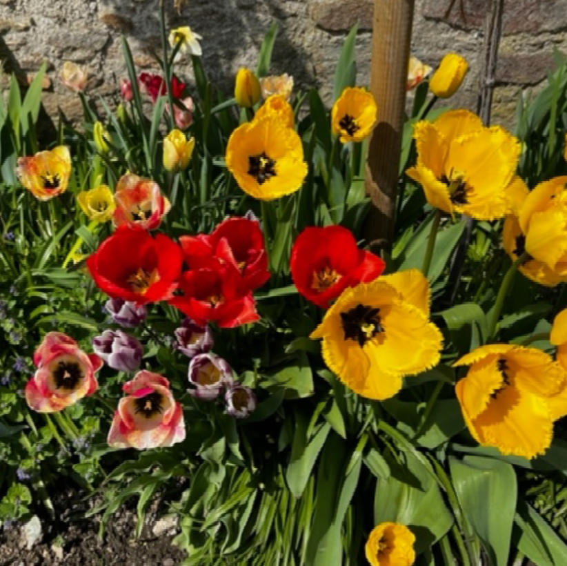 FRÜHLINGSFEST